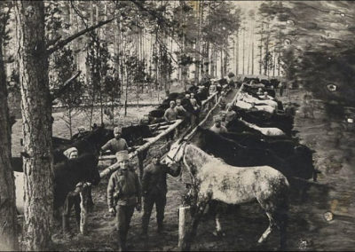 konie- 5 Syberyjski pułk